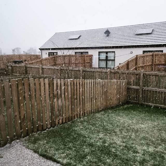 Post by danylwilliam