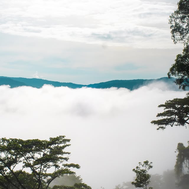 Post by landakpusatinformasi