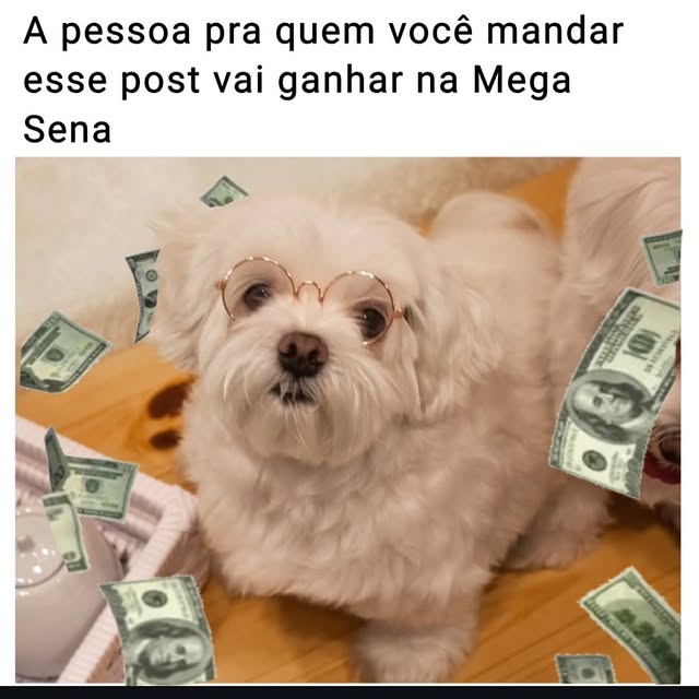 Post by aleatorios_dogs
