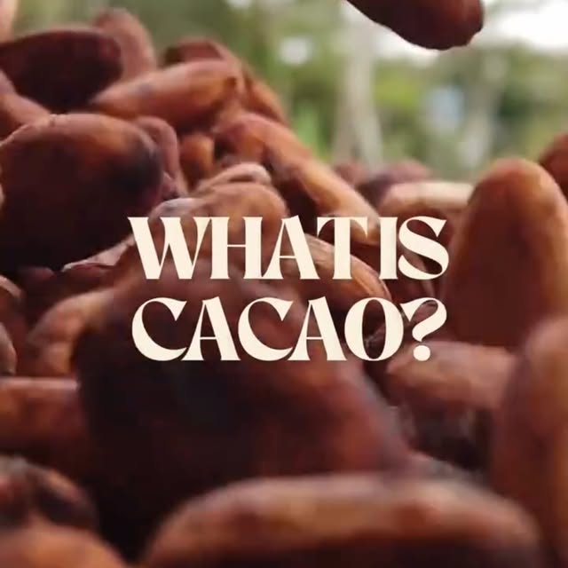 Post by austchocfest