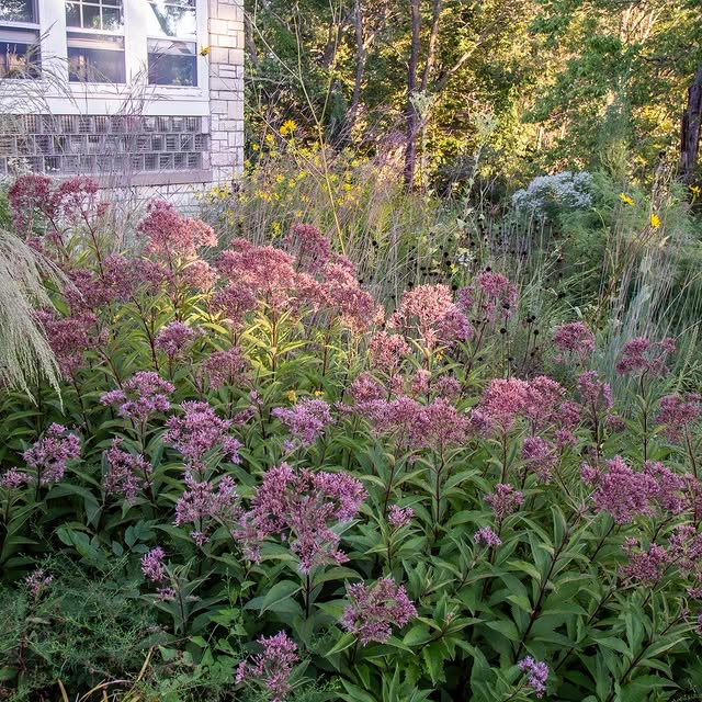 Post by kellydnorris