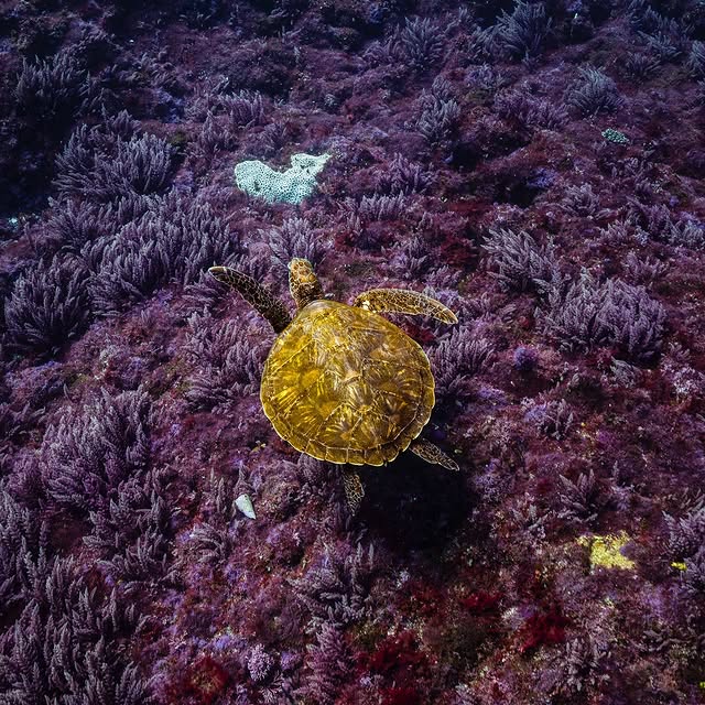 Post by wildkirinphotography