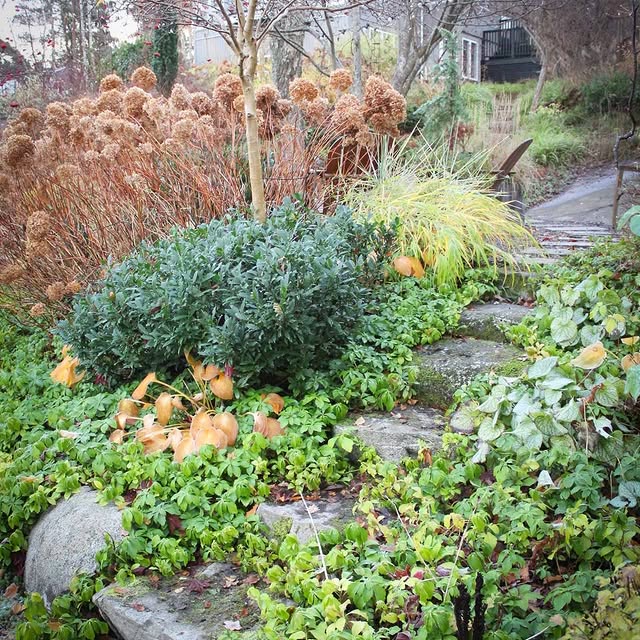 Post by themoosegarden