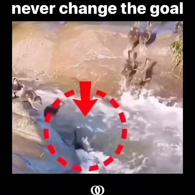 Post by themarcusgarrett