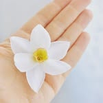 Natalia's profile picture