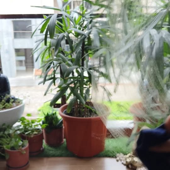 Post by creative_callings