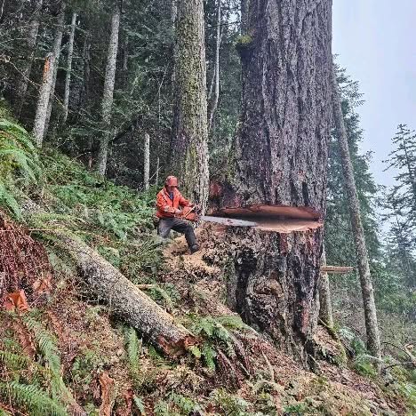 Post by nighthawkfalling