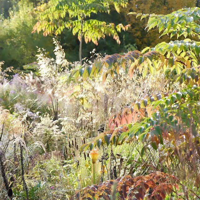 Post by arcadia_landscape_design