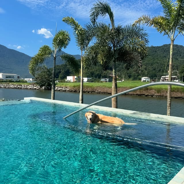 Post by brunabiancardi