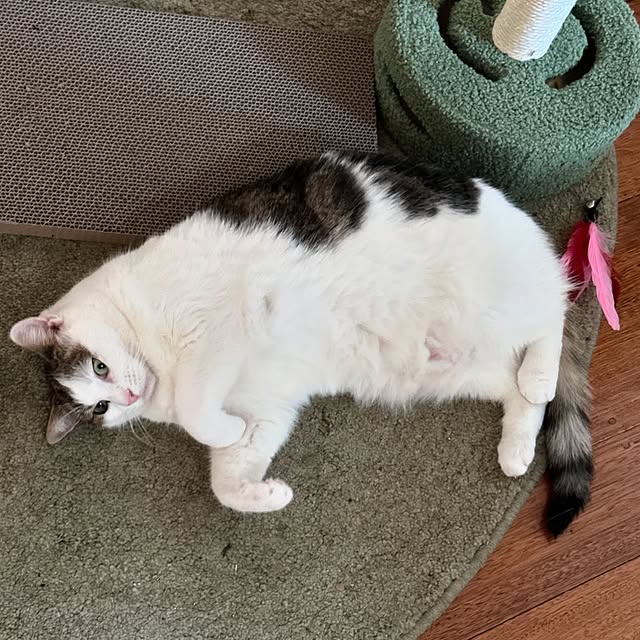 Post by selfawaremeat