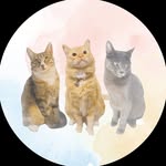 simple.kitties