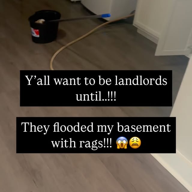 Post by andrel.harris