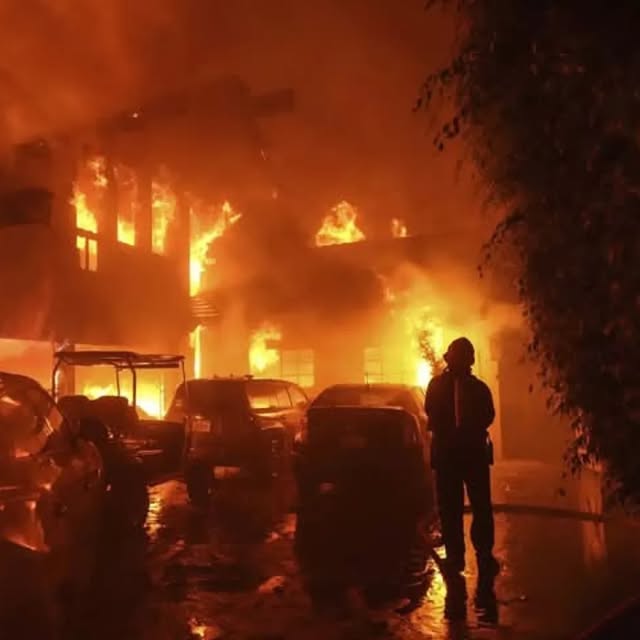 Post by incendiosforestalesargentina