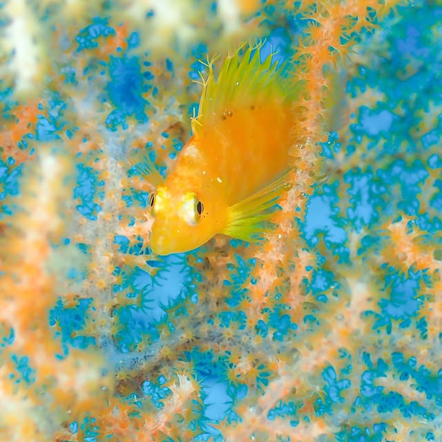 Post by islife_kosei