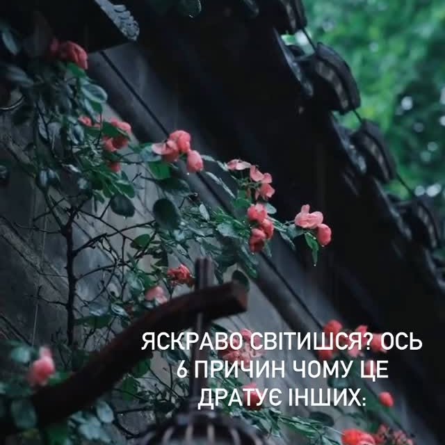 Post by lerra.offical