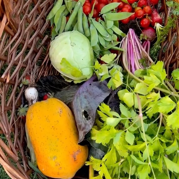 Post by thegoodgarden.co