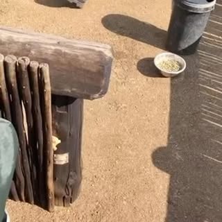 Post by officialtalesofafrica