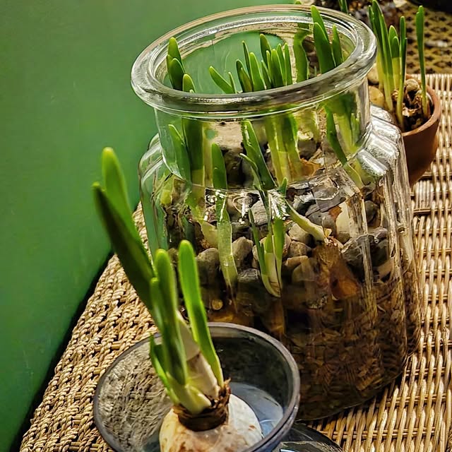 Post by the_hampshire_gardener