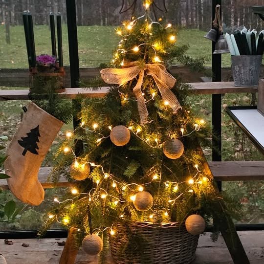 Post by tashas_garten