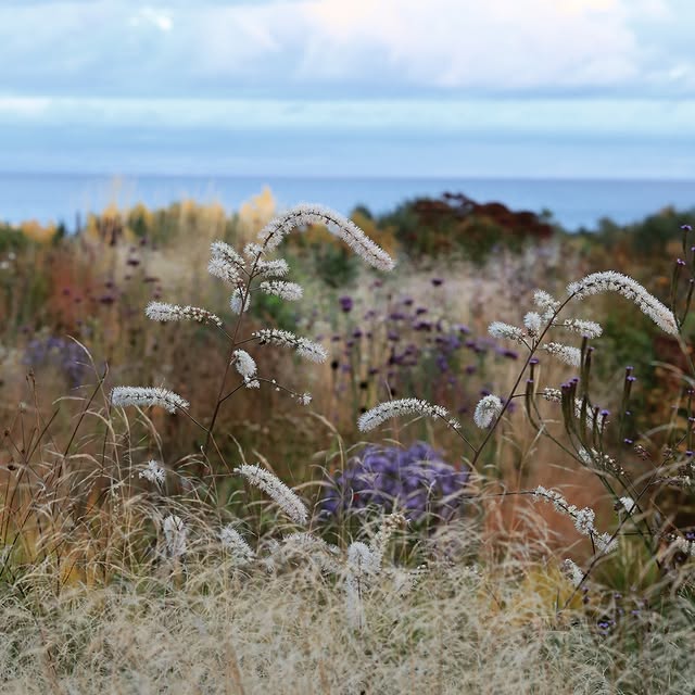 Post by vill_hageglede