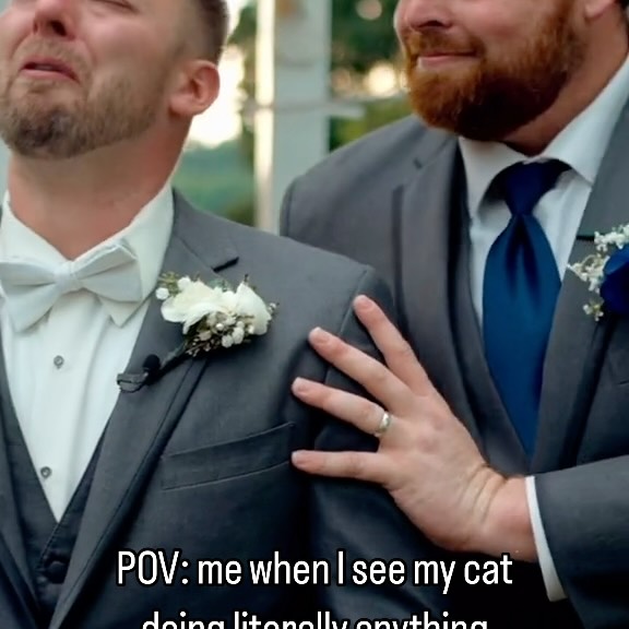 Post by rspcaaustralia