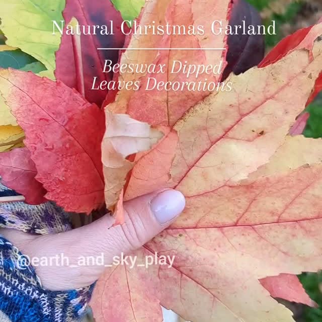 Post by earth_and_sky_play