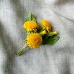 Броши.  🍀 Цветочные украшения.'s profile picture