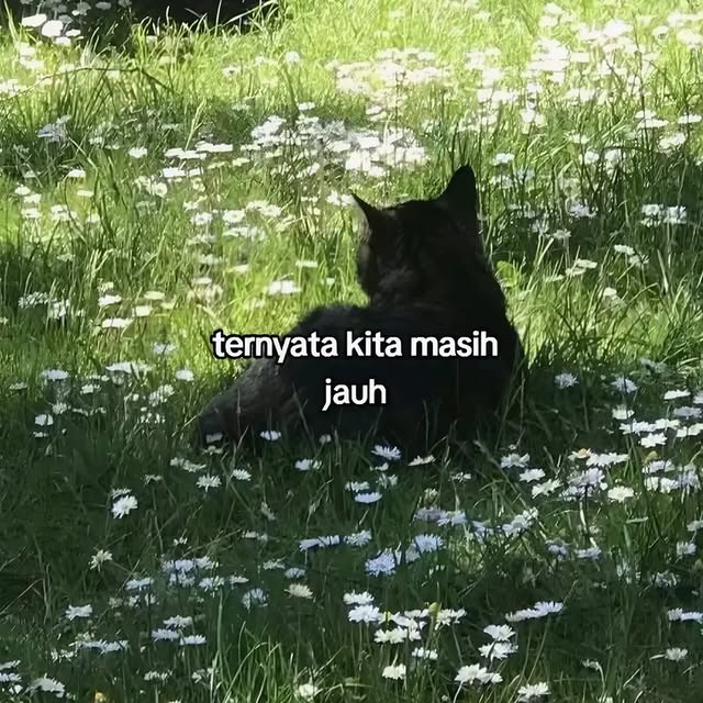 Post by your.quotees