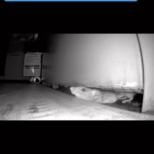 Post by twinhomeexperts