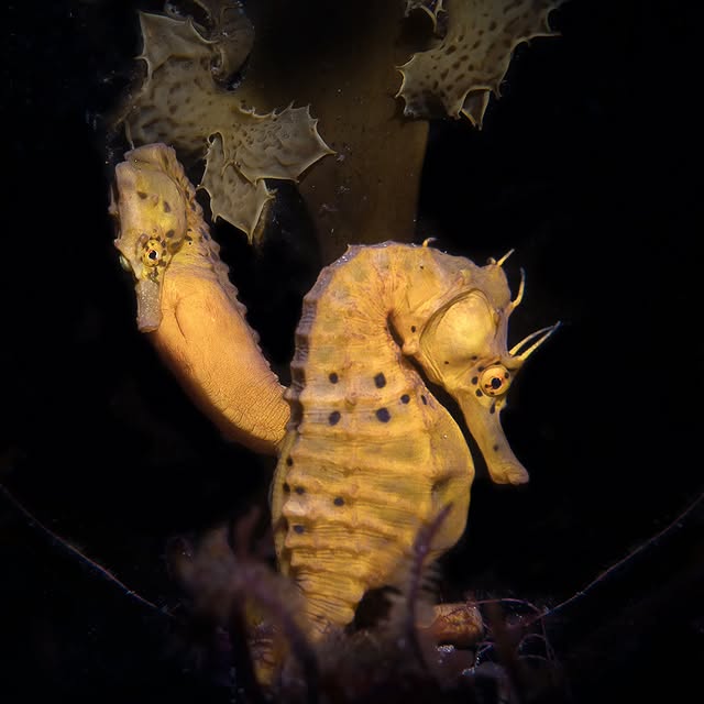 Post by sammyglenn_dives