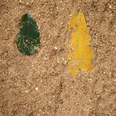 Post by trendytechreviewshow