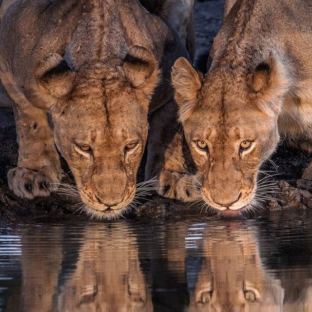 Post by ultimatetravelco