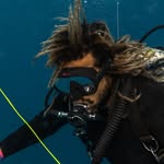 Divingmaldive's profile picture