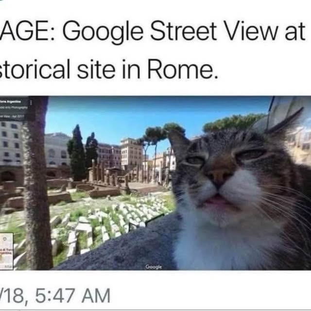 Post by furbabyfriend