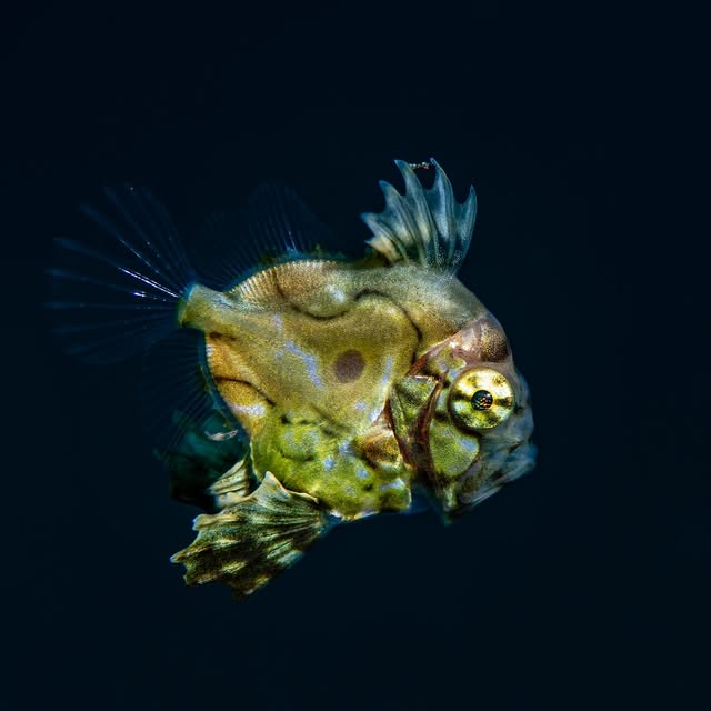 Post by islife_kosei