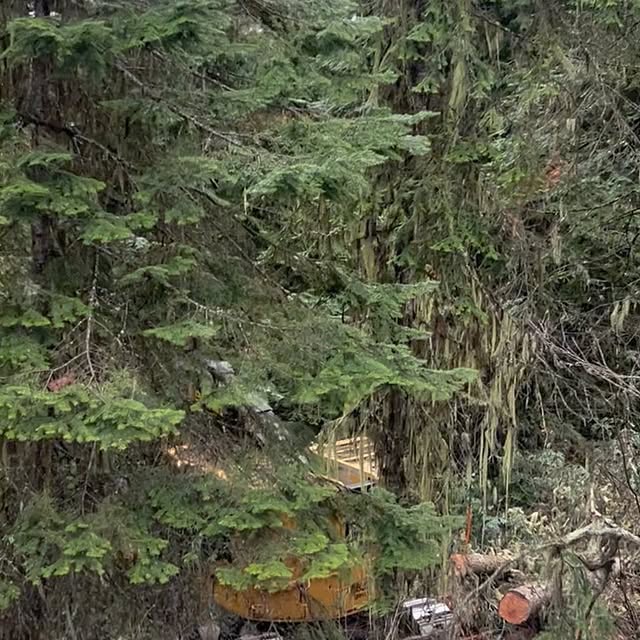 Post by rupps_timber