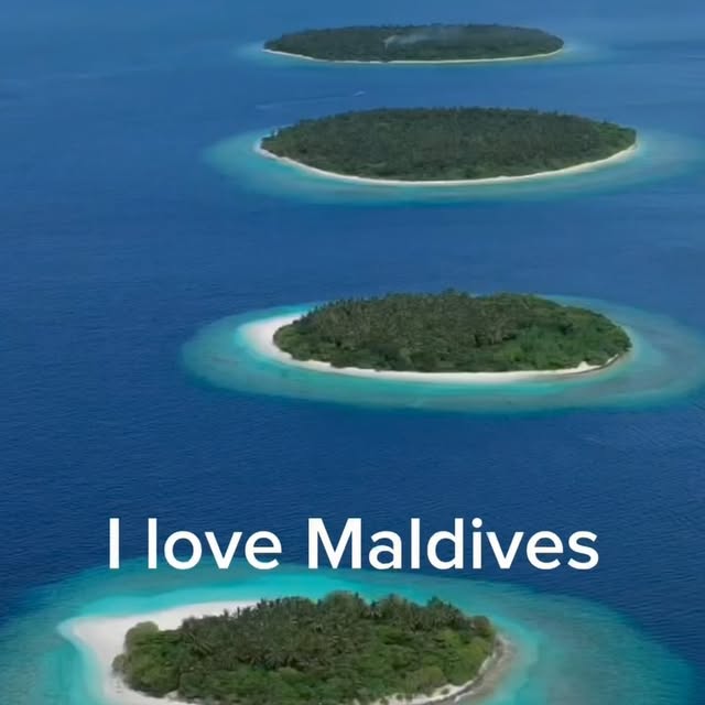 Post by divingmaldive