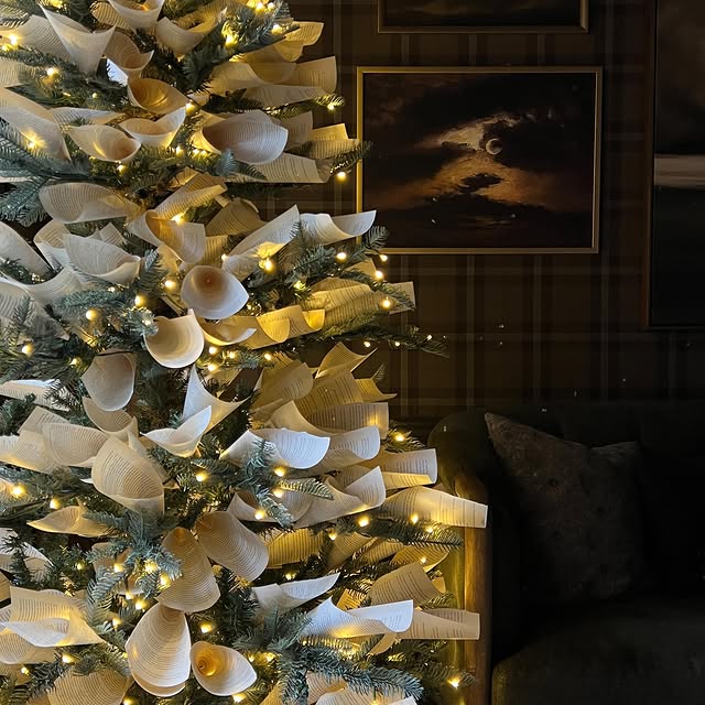 Post by haneens_haven