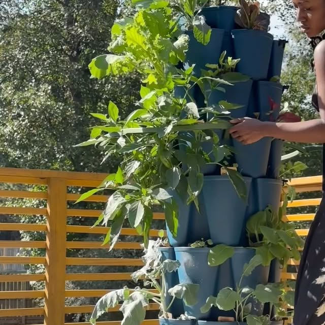 Post by lets.talkfood