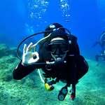 Scuba Diving Lover Community 🏊‍♂️'s profile picture