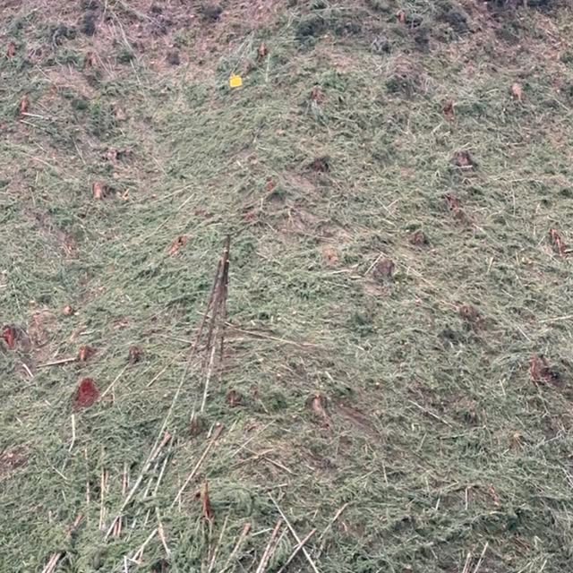 Post by coast_cutter