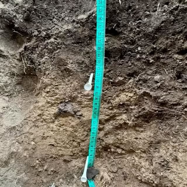 Post by nevada_fuels