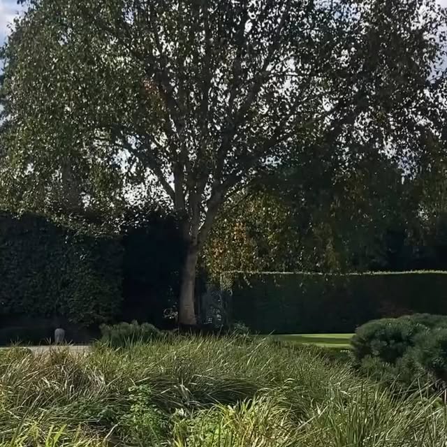 Post by joeperkinsdesign