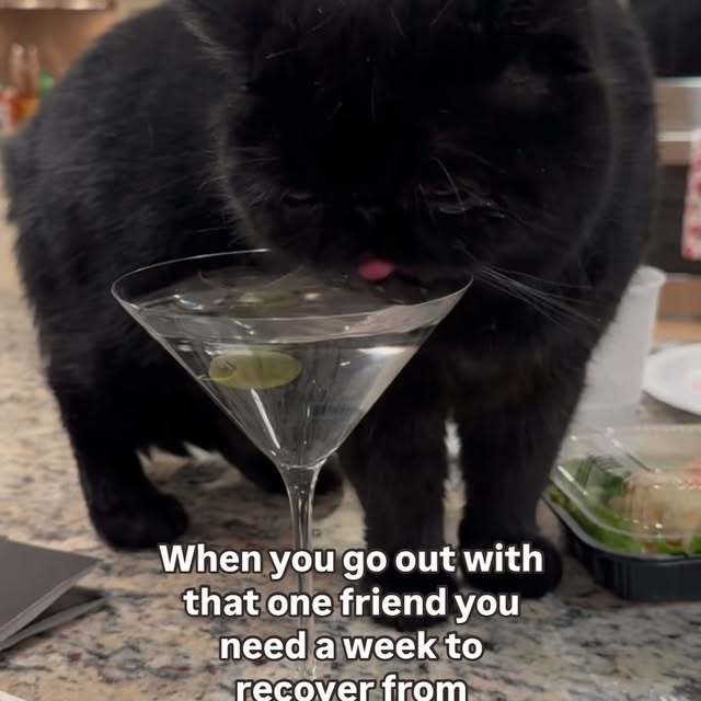 Post by daniela_dish