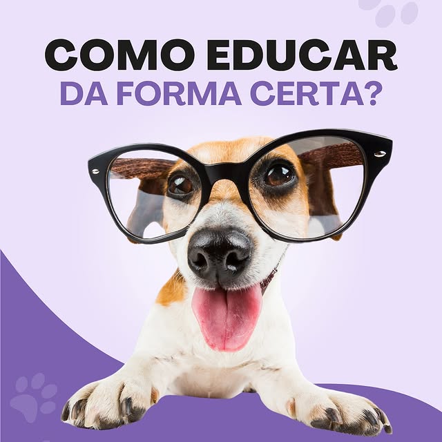 Post by tudosobrecachorros