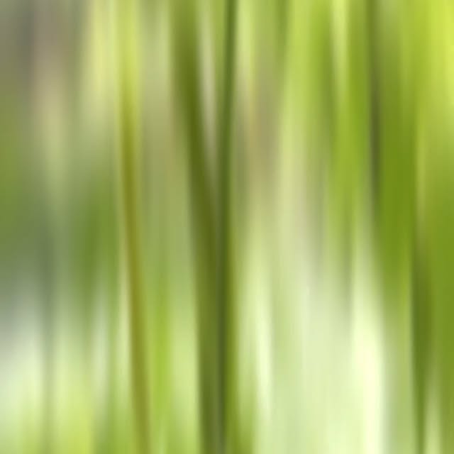 Post by tukangtamanmedann