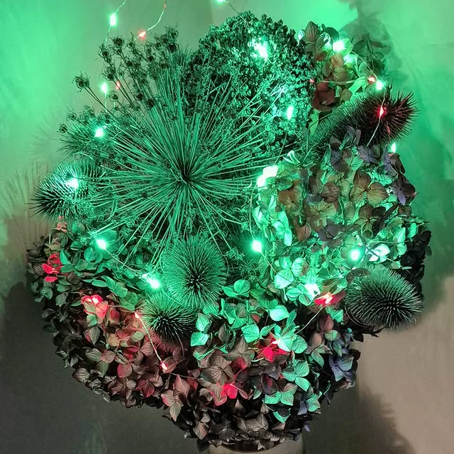 Post by the_hampshire_gardener