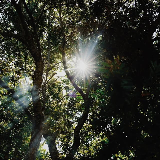 Post by chateau_lafonrochet