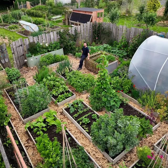 Post by daily_gardening_life