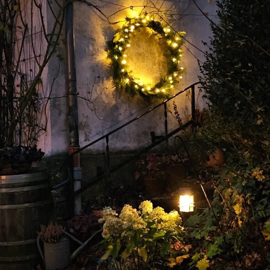 Post by tashas_garten